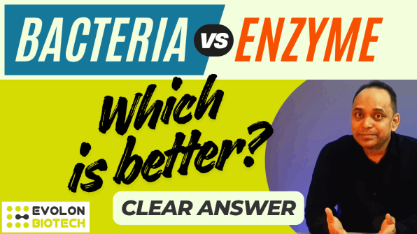 Bacteria vs Enzymes. Which is better for effluent treatment?