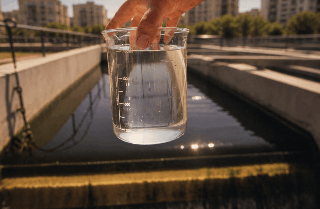 Clear STP water with Evobac STP