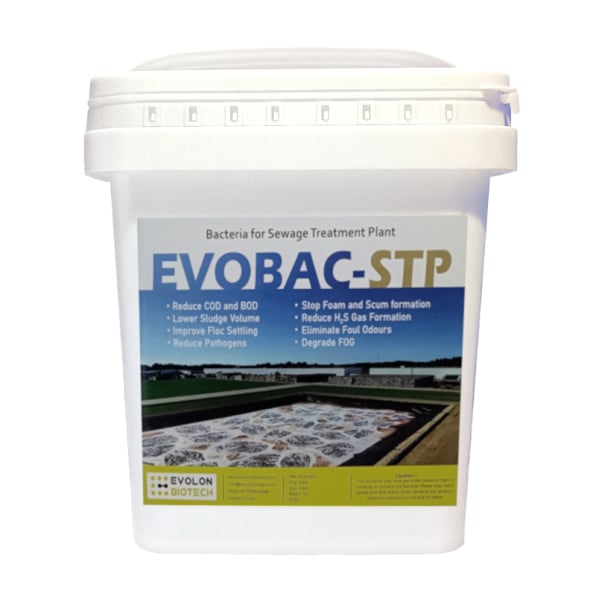 Aerobic Bacteria for Sewage Treatment Plant (Powder)