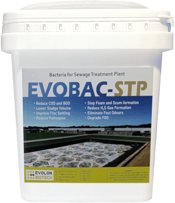 Evobac STP Powder bacteria for STP - Evolon Biotech