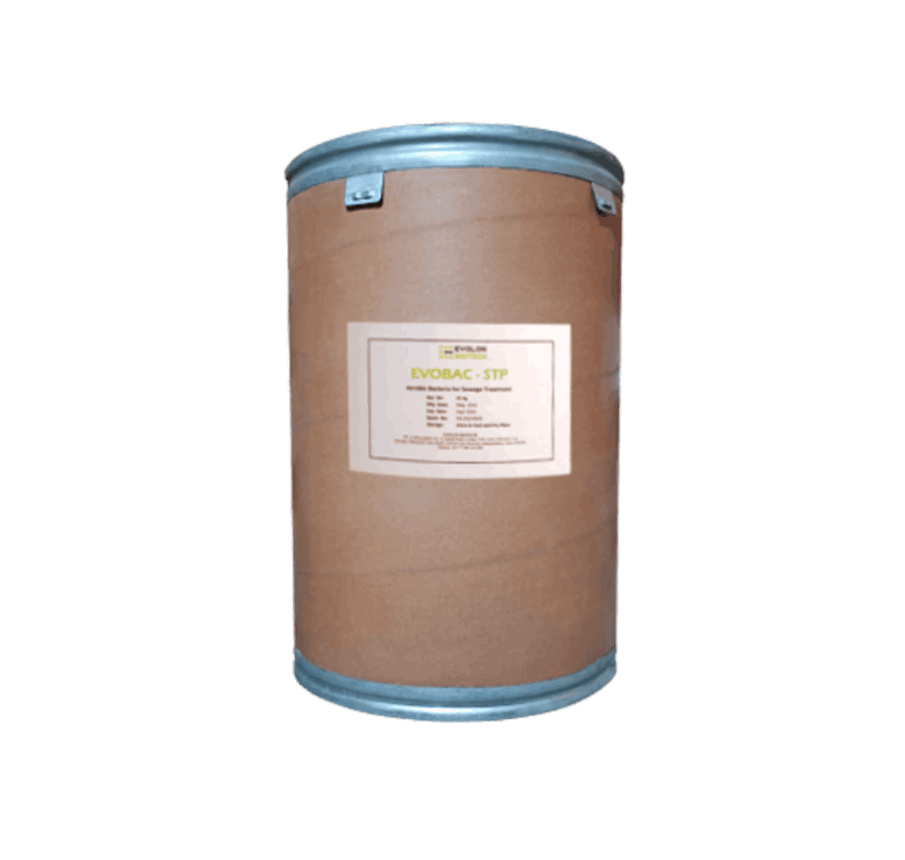 Evobac STP - Low price Bioculture powder for Government order /  Bulk Order.