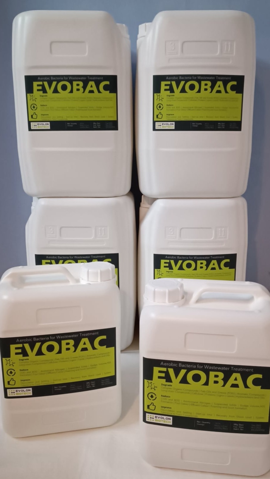 Evolon Biotech - Exports Bioculture 