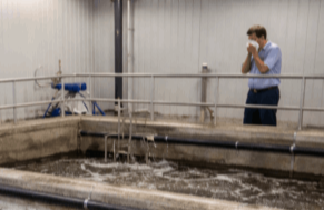 Evobac STP Liquid Bioculture for Housing Society STP 